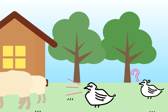 オリジナル例文"y'all"