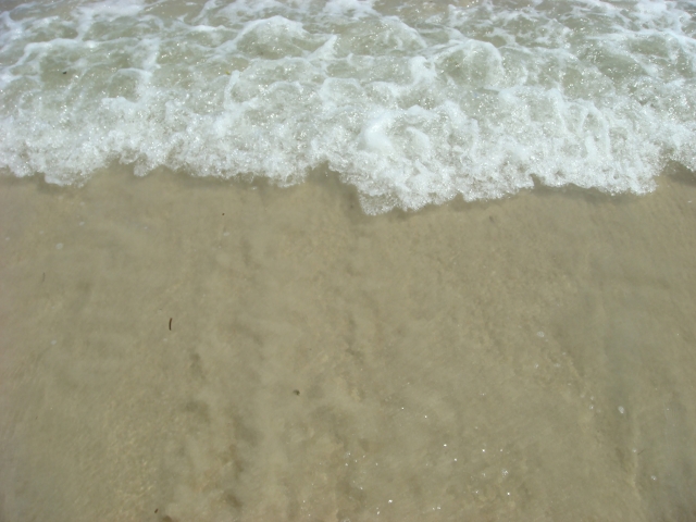 白い砂浜